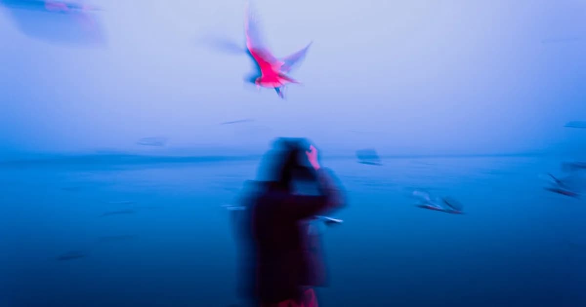 Dream About Missing a Flight: What the Real Emotion Is Telling You