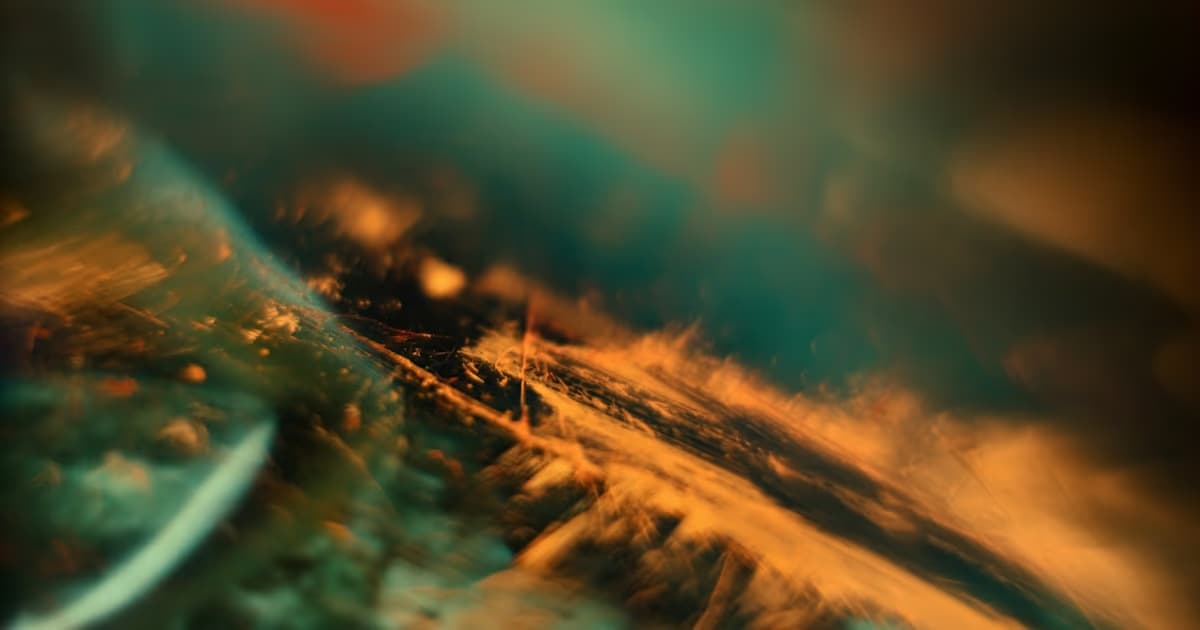 Fire in the Dream: What Burns, and Why It Matters