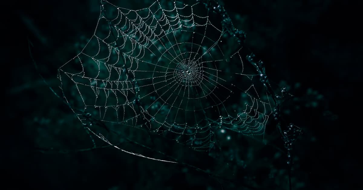 Dream About Spiders Meaning: Creation, Not Just Fear