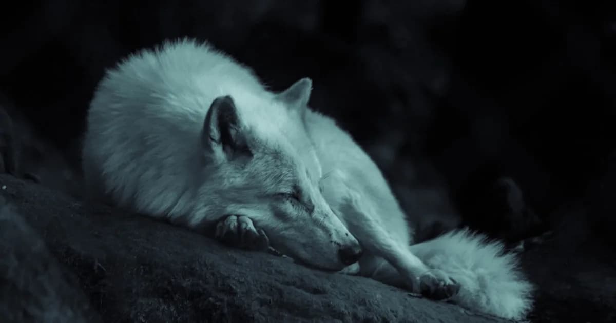 Wolf Symbolism in Dreams: Encountering Your Instinct