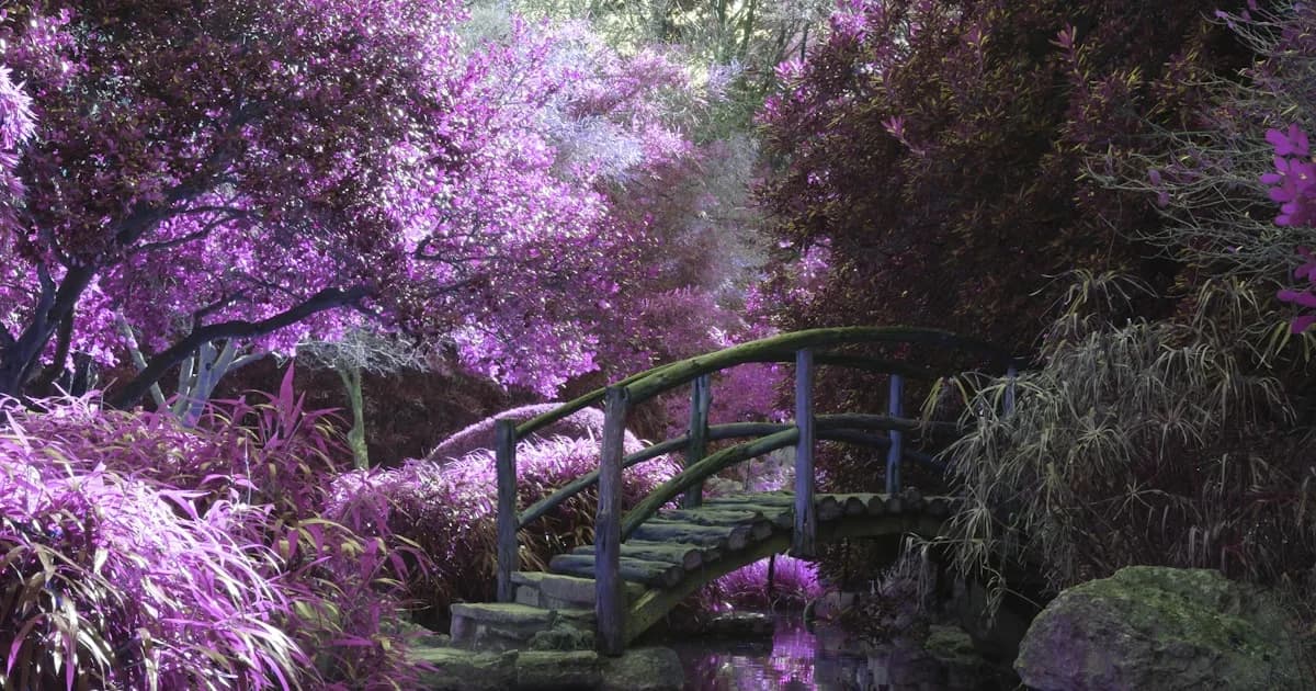 Dream About a Garden: What This Growing Space Reveals About Your Inner Life