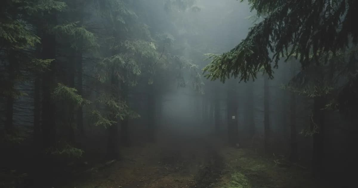 Forest Path Symbolism in Dreams