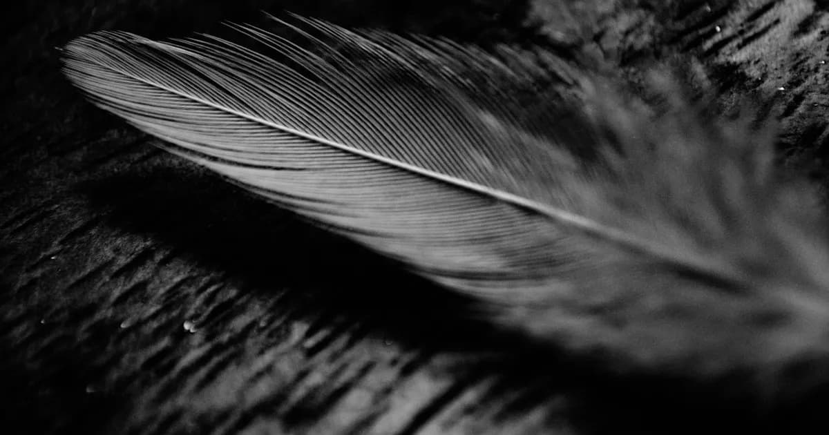 Feather Symbolism in Dreams