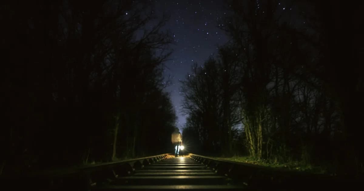 Tracking Dreams Over a Year: Building Self-Knowledge Through Longitudinal Practice